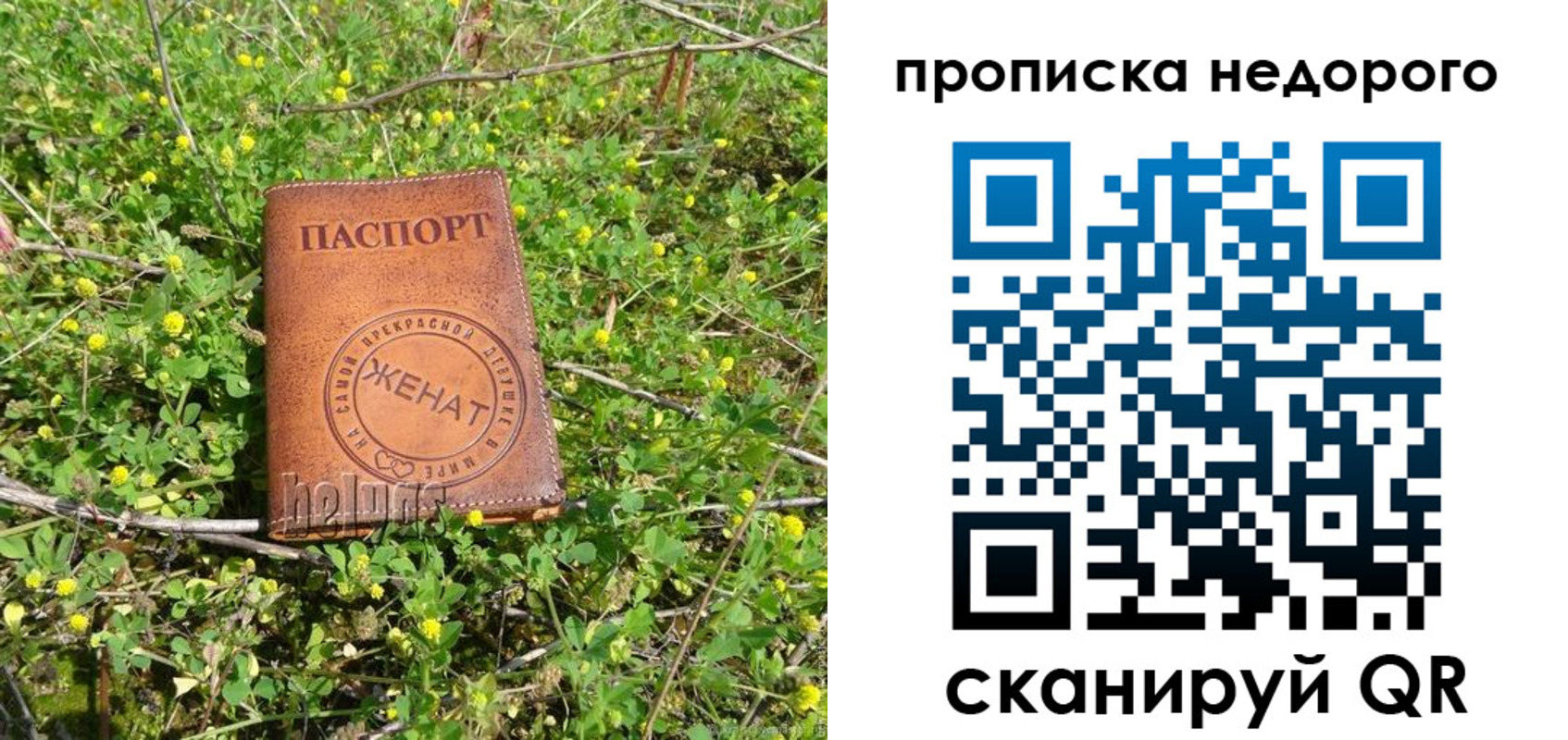 регистрация для дет. сада в Алексеевке